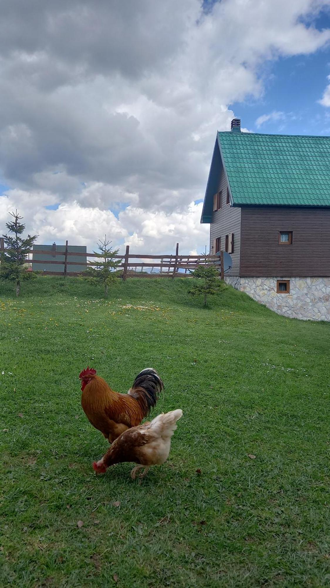Family Farm Апартаменты
