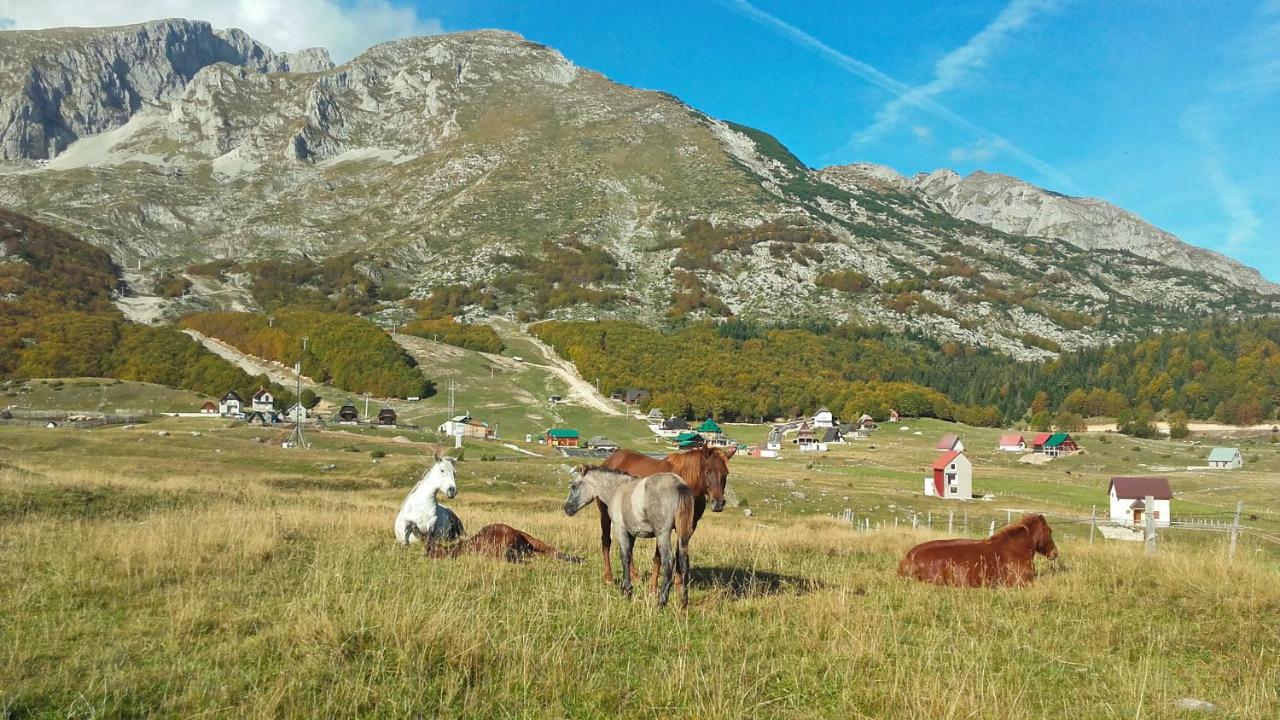 Family Farm *